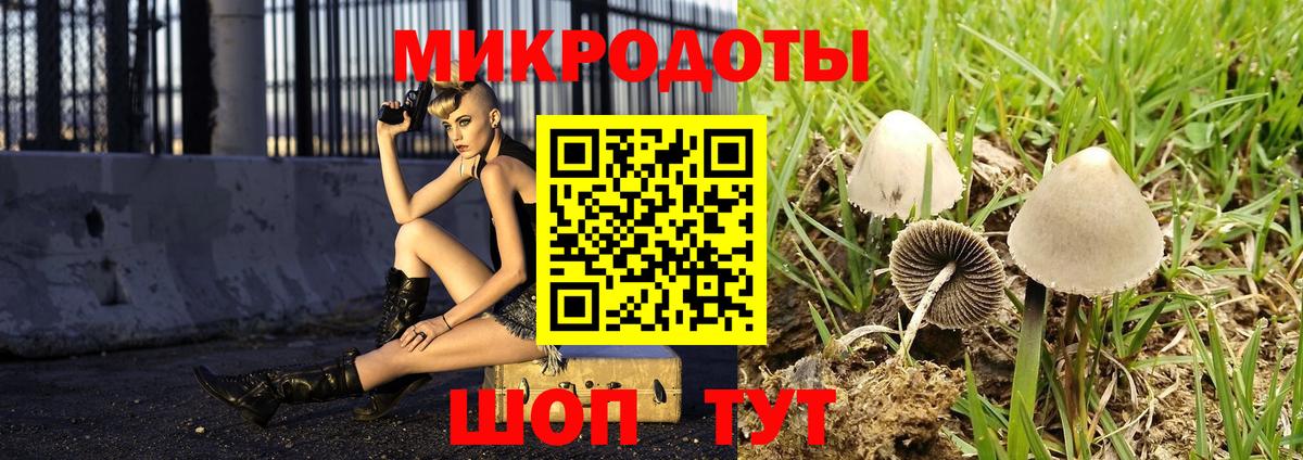 Галлюциногенные грибы мицелий Полысаево