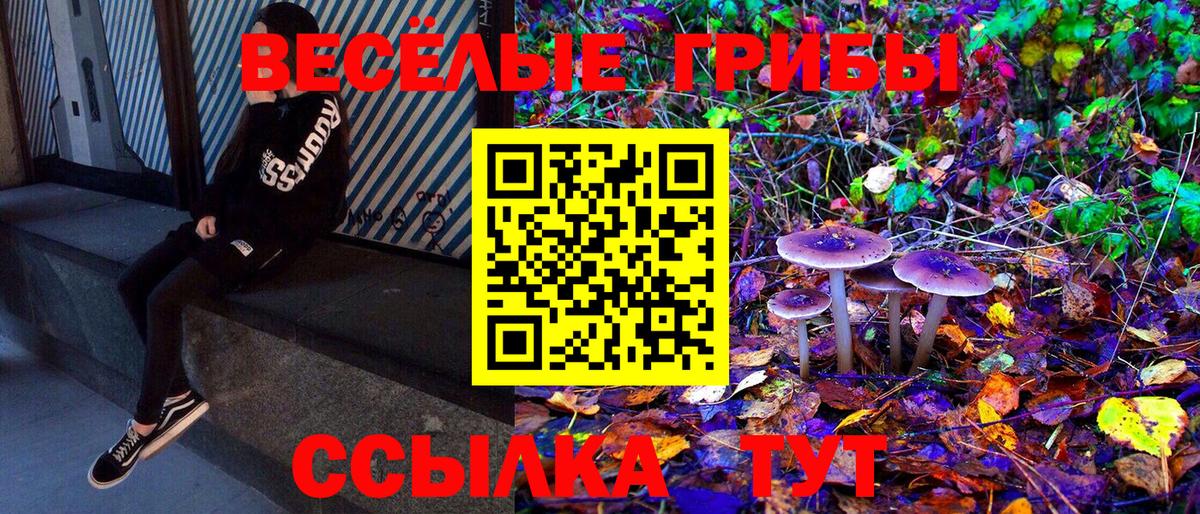 где купить наркотик  Псилоцибиновые грибы Magic Shrooms  Полысаево  Вход с VPN  Галлюциногенные грибы мицелий 